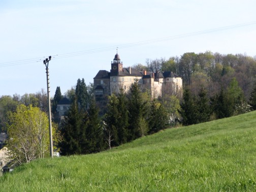 Zamek na Janowej Górze