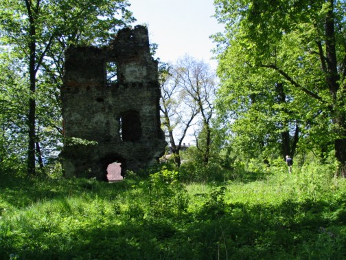 Dziedziniec zamku